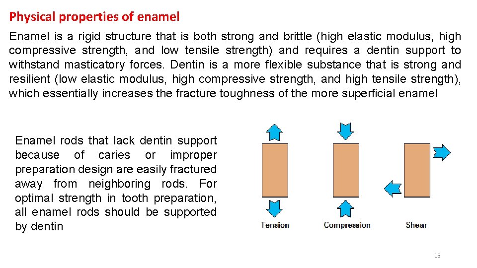 Physical properties of enamel Enamel is a rigid structure that is both strong and