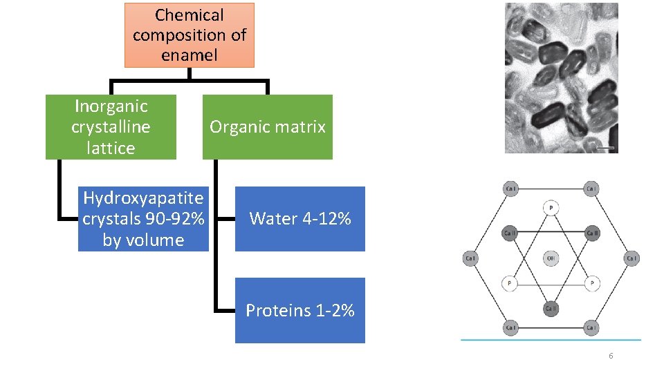 Chemical composition of enamel Inorganic crystalline lattice Hydroxyapatite crystals 90 -92% by volume Organic