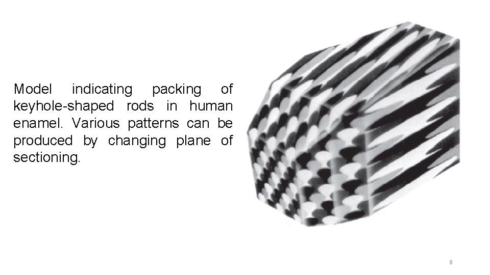 Model indicating packing of keyhole-shaped rods in human enamel. Various patterns can be produced