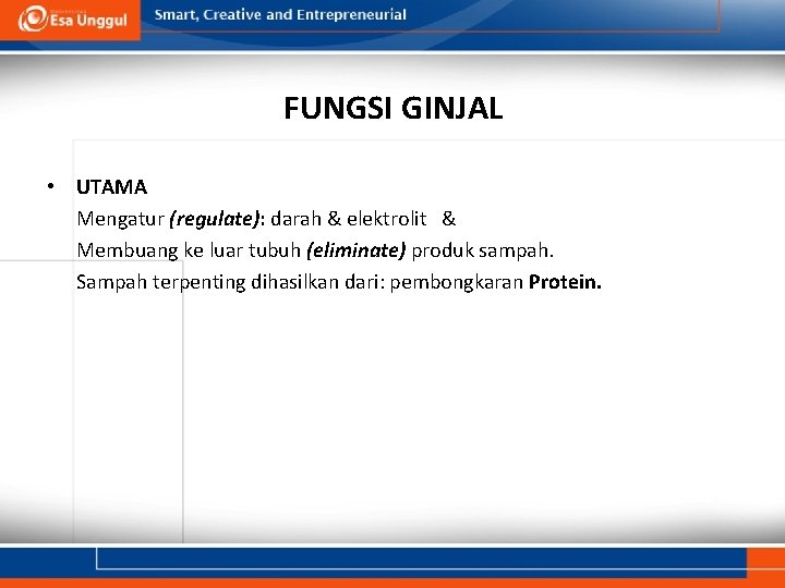 FUNGSI GINJAL • UTAMA Mengatur (regulate): darah & elektrolit & Membuang ke luar tubuh