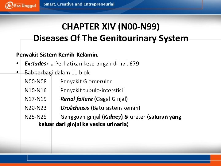 CHAPTER XIV (N 00 -N 99) Diseases Of The Genitourinary System Penyakit Sistem Kemih-Kelamin.