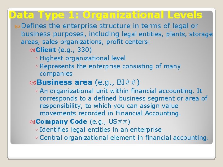 Data Type 1: Organizational Levels Defines the enterprise structure in terms of legal or