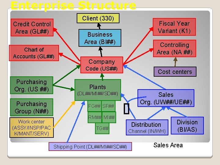 Enterprise Structure Client (330) Credit Control Area (GL##) Business Area (BI##) Chart of Accounts