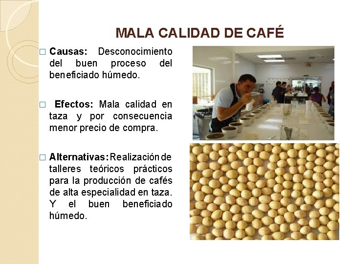 MALA CALIDAD DE CAFÉ � Causas: Desconocimiento del buen proceso del beneficiado húmedo. �