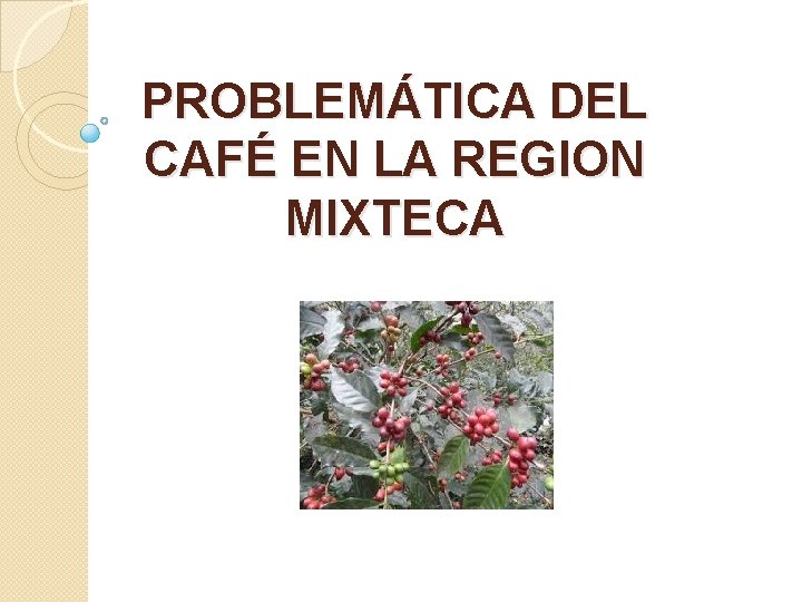 PROBLEMÁTICA DEL CAFÉ EN LA REGION MIXTECA 