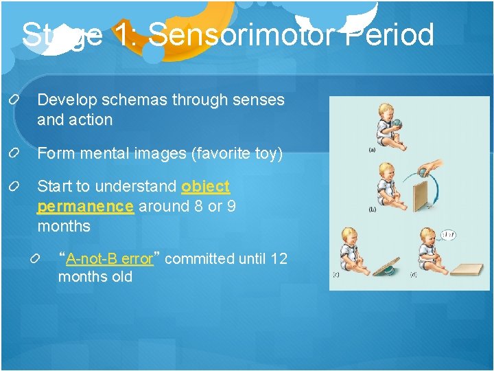 Stage 1: Sensorimotor Period Develop schemas through senses and action Form mental images (favorite Stage 1: Sensorimotor Period Develop schemas through senses and action Form mental images (favorite
