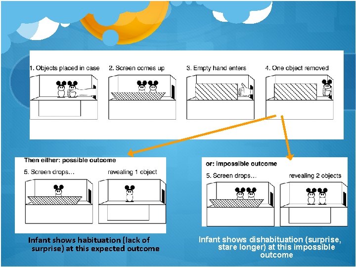 Criticisms of Piaget Infant shows habituation (lack of surprise) at this expected outcome Infant Criticisms of Piaget Infant shows habituation (lack of surprise) at this expected outcome Infant
