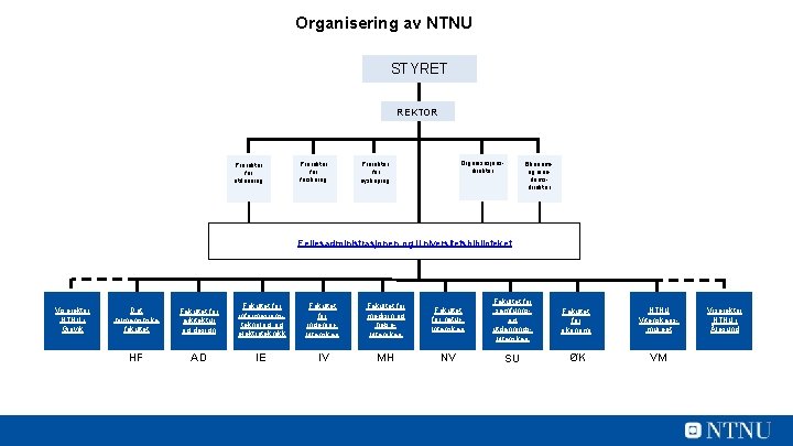 Organisering av NTNU STYRET REKTOR Prorektor for utdanning Prorektor forskning Organisasjonsdirektør Prorektor for nyskaping