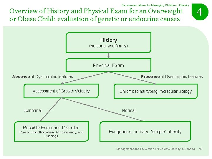 Recommendations for Managing Childhood Obesity Overview of History and Physical Exam for an Overweight