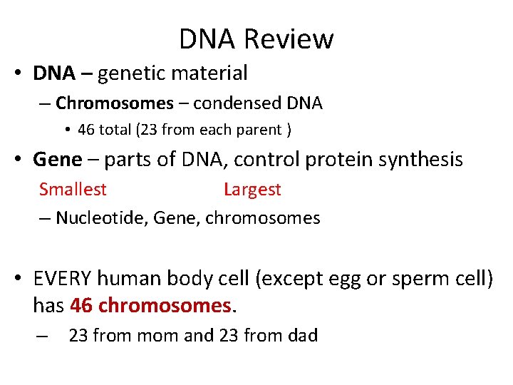 DNA Review • DNA – genetic material – Chromosomes – condensed DNA • 46