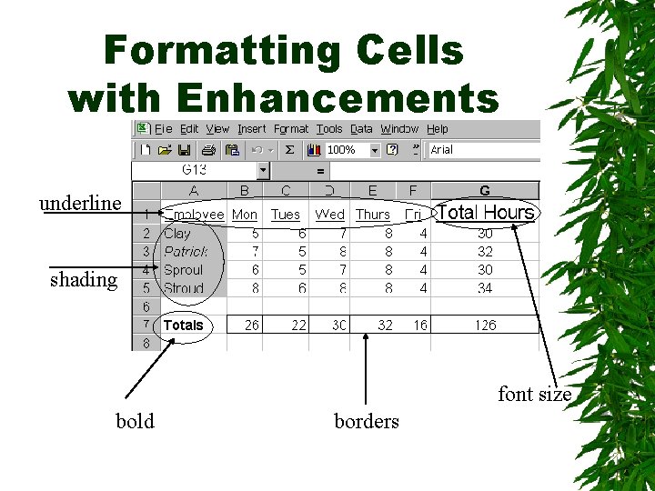 Formatting Cells with Enhancements underline shading font size bold borders 