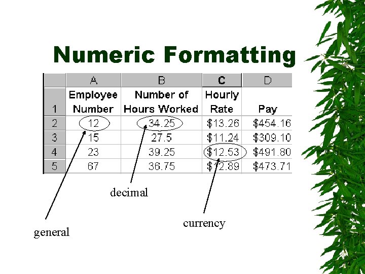 Numeric Formatting decimal general currency 