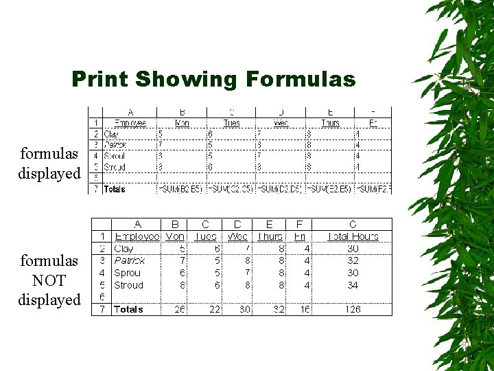 Print Showing Formulas formulas displayed formulas NOT displayed 