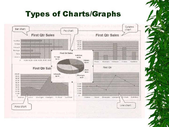 Types of Charts/Graphs 