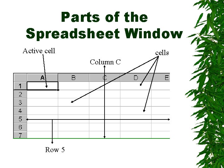 Parts of the Spreadsheet Window Active cells Column C Row 5 