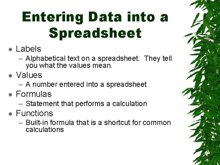 Entering Data into a Spreadsheet Labels – Alphabetical text on a spreadsheet. They tell