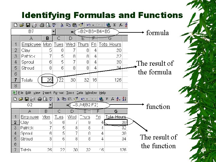 Identifying Formulas and Functions formula The result of the formula function The result of