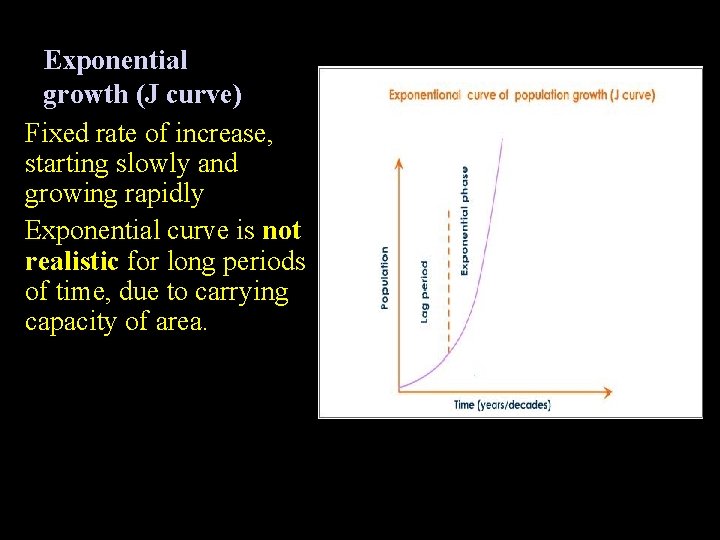 Exponential growth (J curve) Fixed rate of increase, starting slowly and growing rapidly Exponential