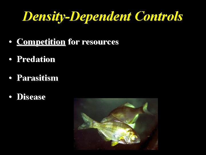 Density-Dependent Controls • Competition for resources • Predation • Parasitism • Disease 