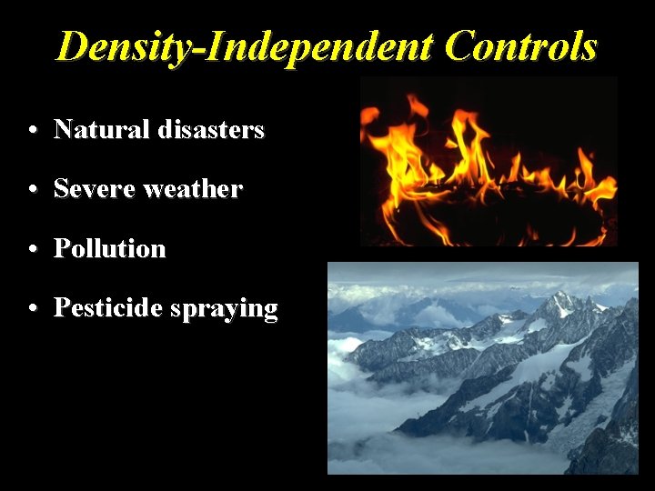 Density-Independent Controls • Natural disasters • Severe weather • Pollution • Pesticide spraying 