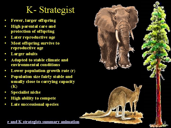 K- Strategist • • • Fewer, larger offspring High parental care and protection of