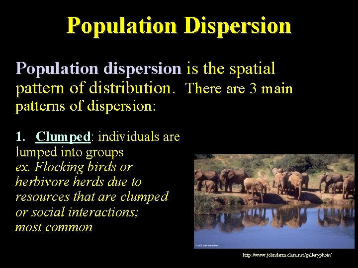 Population Dispersion Population dispersion is the spatial pattern of distribution. There are 3 main