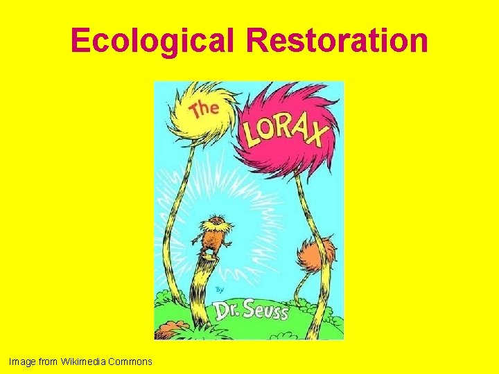 Ecological Restoration Image from Wikimedia Commons 