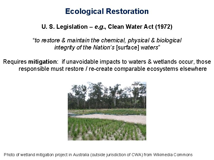 Ecological Restoration U. S. Legislation – e. g. , Clean Water Act (1972) “to