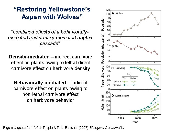 “Restoring Yellowstone’s Aspen with Wolves” “combined effects of a behaviorallymediated and density-mediated trophic cascade”