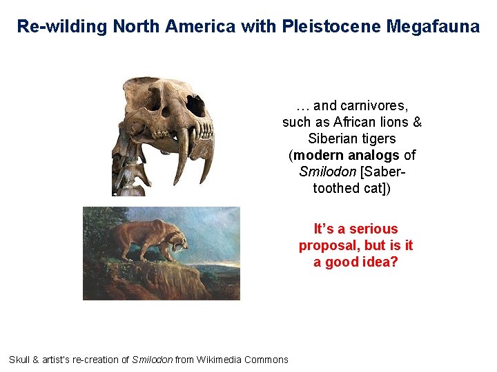 Re-wilding North America with Pleistocene Megafauna … and carnivores, such as African lions &