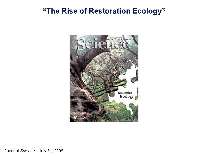 “The Rise of Restoration Ecology” Cover of Science – July 31, 2009 