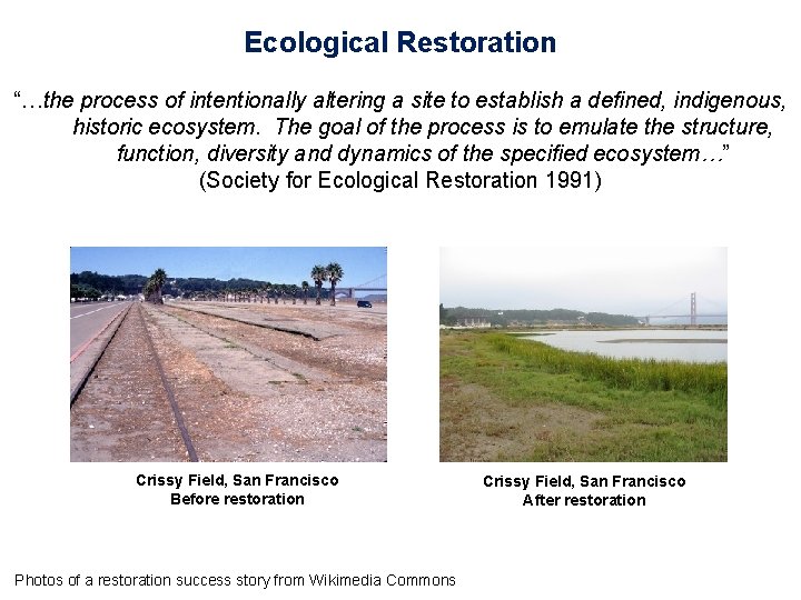 Ecological Restoration “…the process of intentionally altering a site to establish a defined, indigenous,