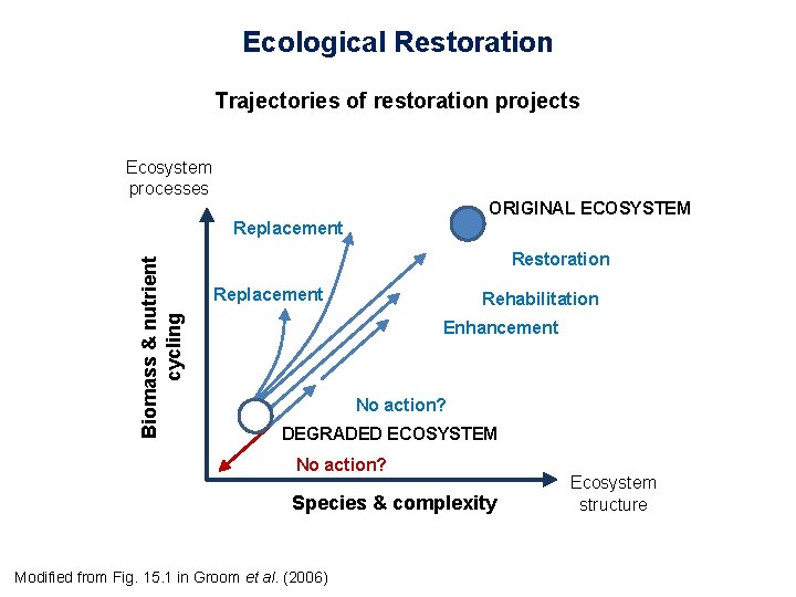 Ecological Restoration Trajectories of restoration projects Ecosystem processes ORIGINAL ECOSYSTEM Biomass & nutrient cycling