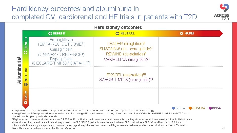 Hard kidney outcomes and albuminuria in completed CV, cardiorenal and HF trials in patients