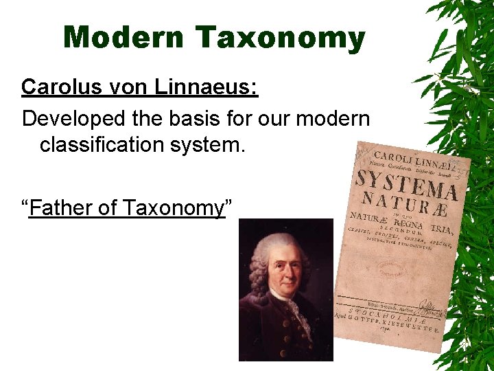 Modern Taxonomy Carolus von Linnaeus: Developed the basis for our modern classification system. “Father