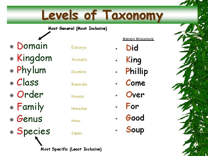 Levels of Taxonomy Most General (Most Inclusive) Domain Kingdom Phylum Class Order Family Genus