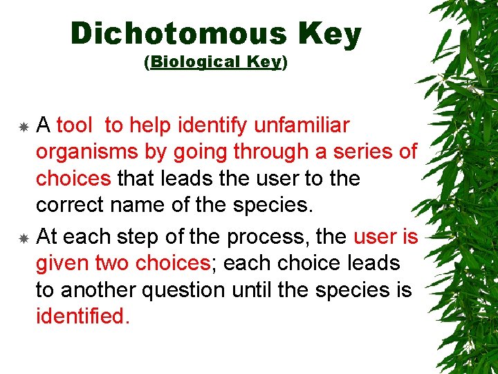 Dichotomous Key (Biological Key) A tool to help identify unfamiliar organisms by going through