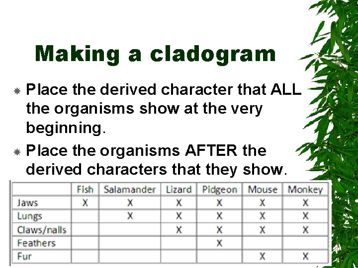 Making a cladogram Place the derived character that ALL the organisms show at the