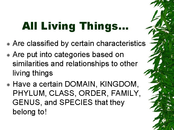 All Living Things… Are classified by certain characteristics Are put into categories based on