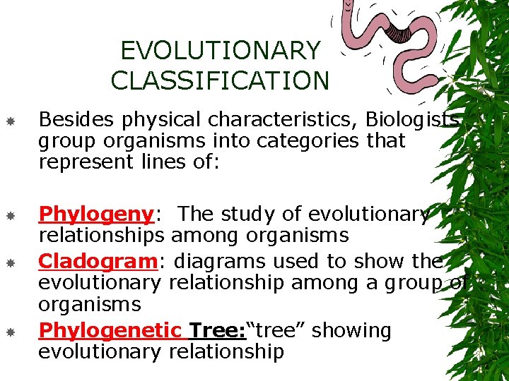 EVOLUTIONARY CLASSIFICATION Besides physical characteristics, Biologists group organisms into categories that represent lines of: