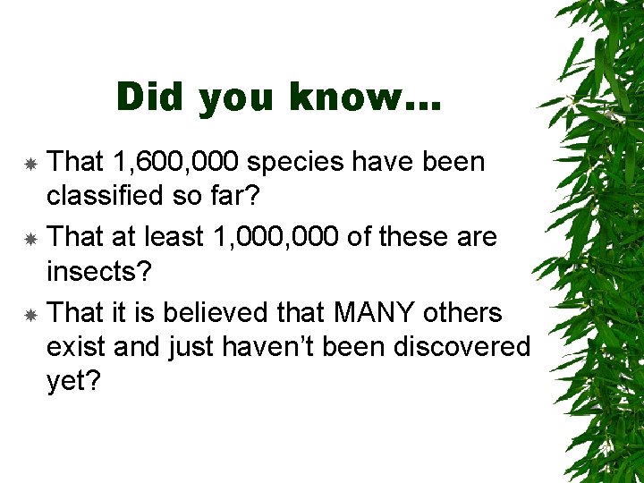 Did you know… That 1, 600, 000 species have been classified so far? That
