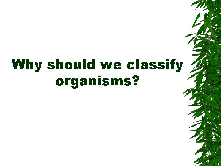Why should we classify organisms? 