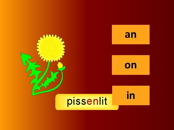 an an on pissenlit in 