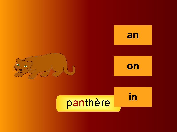 an an on panthère in 