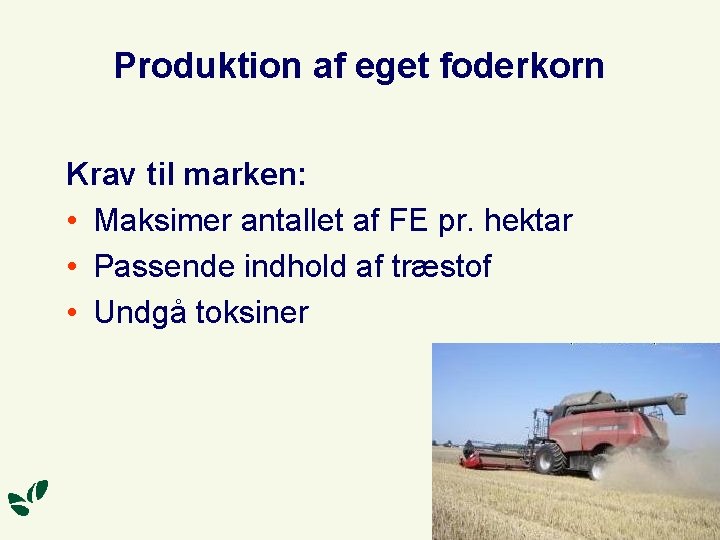 Produktion af eget foderkorn Krav til marken: • Maksimer antallet af FE pr. hektar
