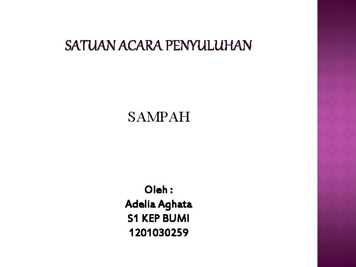 SATUAN ACARA PENYULUHAN SAMPAH Oleh : Adelia Aghata S 1 KEP BUMI 1201030259 