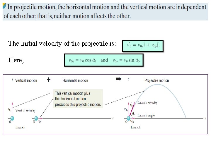 The initial velocity of the projectile is: Here, 