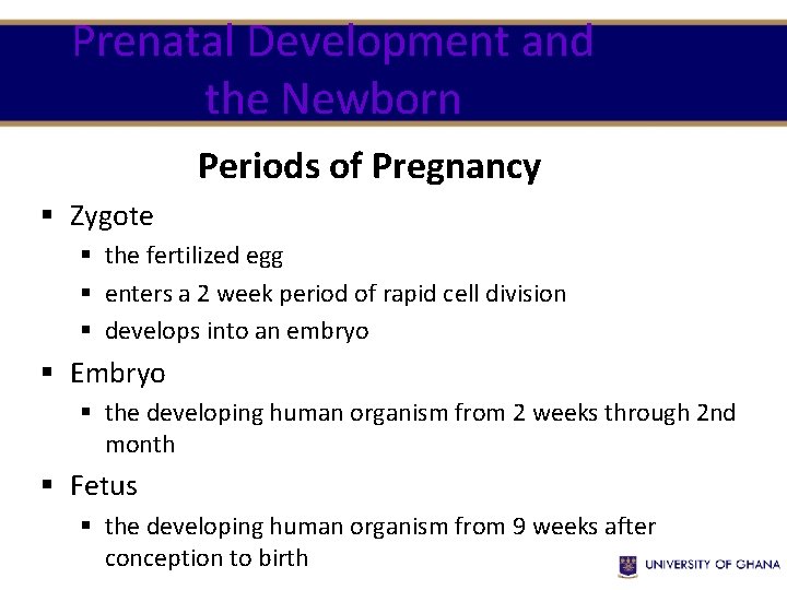 Prenatal Development and the Newborn Periods of Pregnancy § Zygote § the fertilized egg