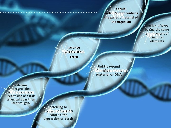 special molecule that contains DNA the genetic material of the organism science of inherited