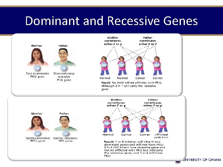 Dominant and Recessive Genes 